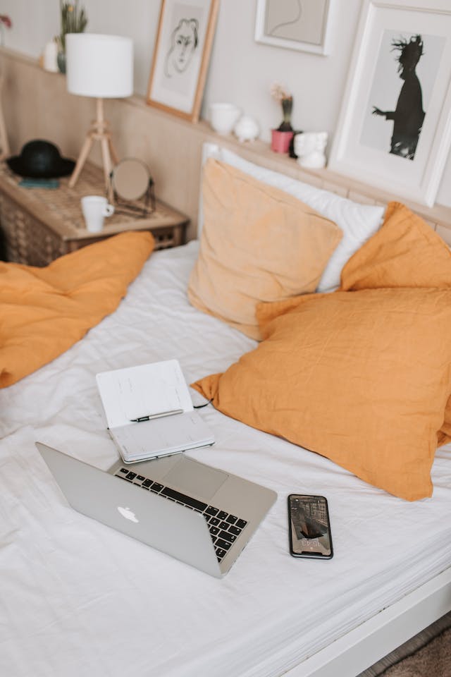 Modern Bed Frame