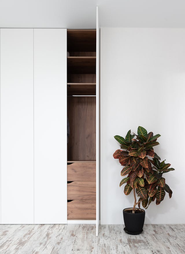 Grand Walnut Wardrobe